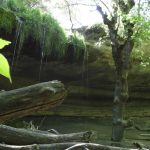 Cueva del Anis - Cueva del Alambique