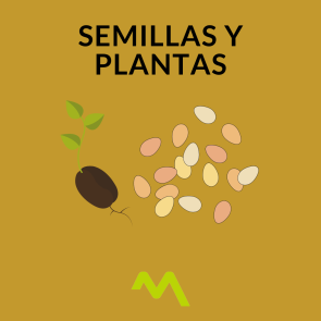 Semillas y Plantas